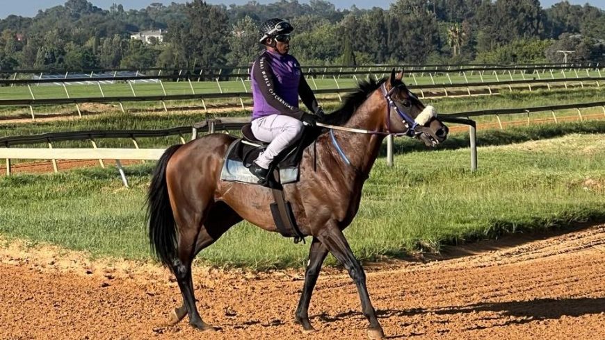 Imported Mujbar debuts for Ackerman, Riley