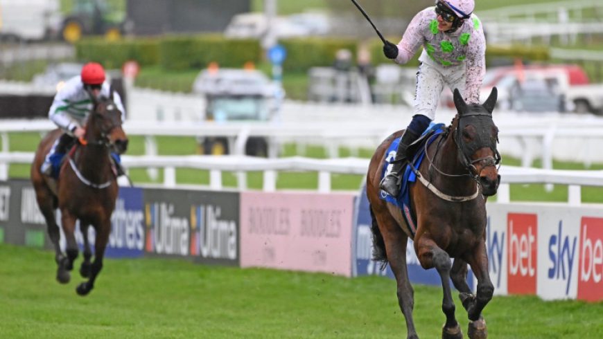 Found A Fifty: Big run at Cheltenham
